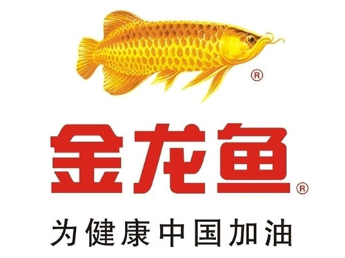 金龍魚(yú)_副本